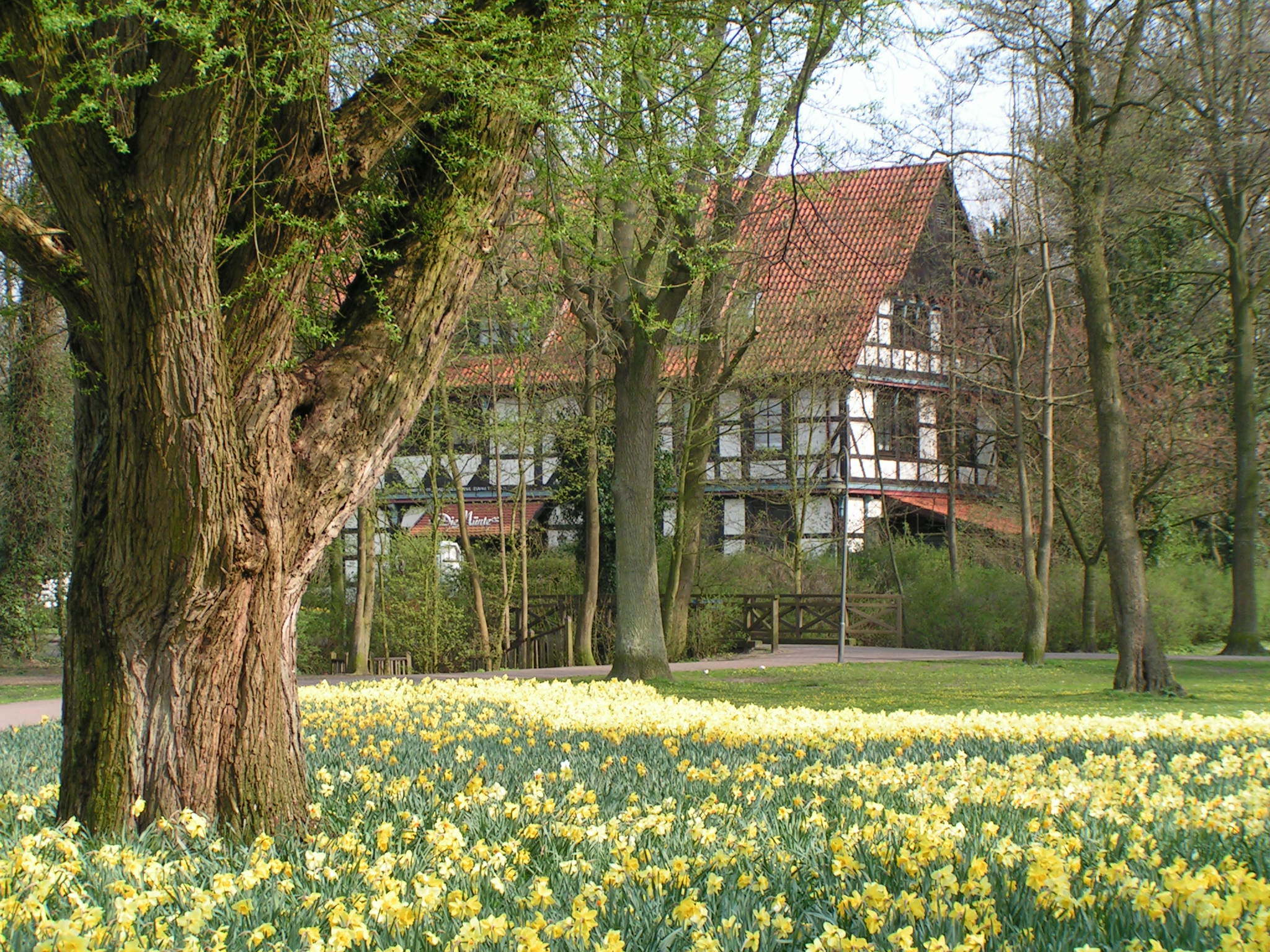Der Müntepark in Diepholz Der Müntepark in Diepholz