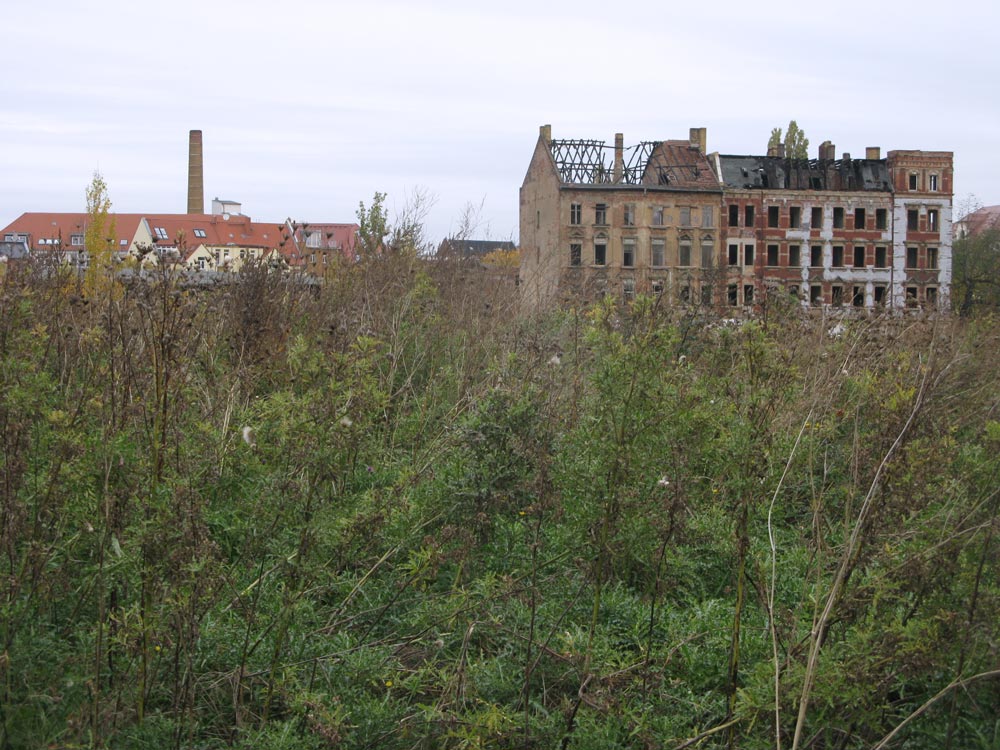 Eine innerstädtische Brachfläche Eine innerstädtische Brachfläche