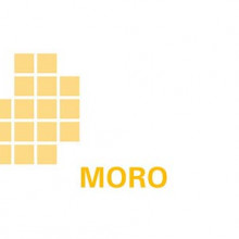 Logo Modellvorhaben der Raumordnung