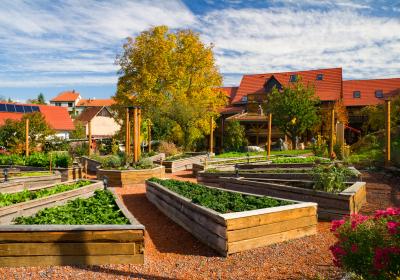 Beete im Ortszentrum Beete im Ortszentrum