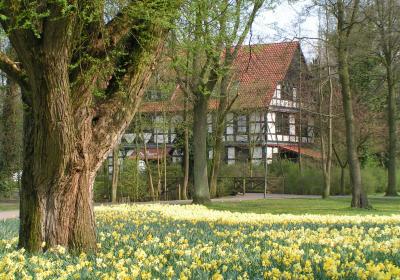 Der Müntepark in Diepholz Der Müntepark in Diepholz