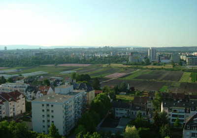 Wohnungsbau und Ackerflächen Wohnungsbau und Ackerflächen